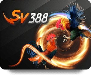 Exploring H19 Casino Royal’s VIP Rewards Program